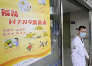 中国人に感染、鳥インフルエンザ流行.jpg